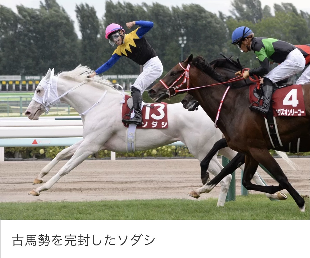 古馬を制し、札幌記念覇者に輝いたソダシが_レス47の画像_0